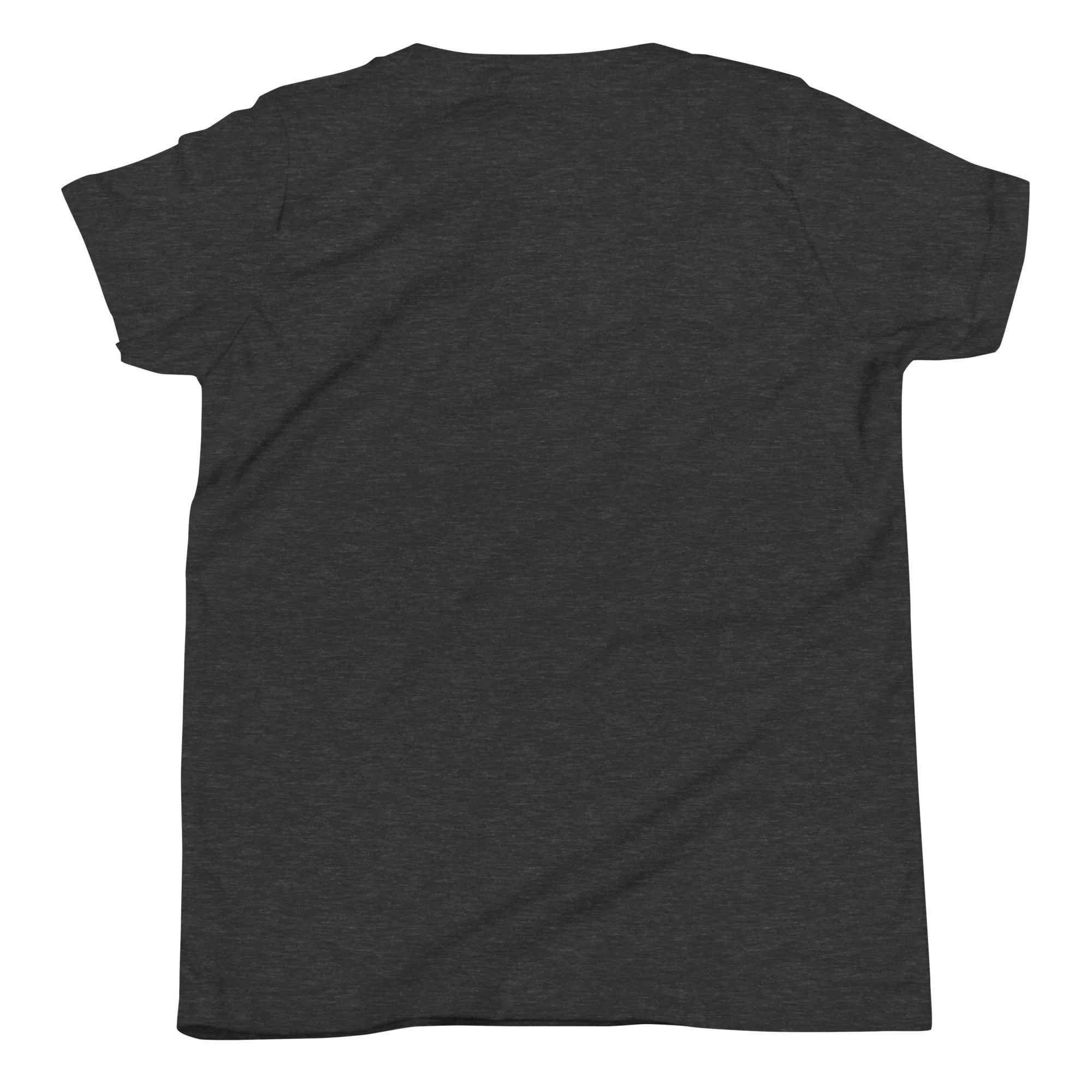 Ahavas Yisroel T-Shirt (Youth) - Image 11
