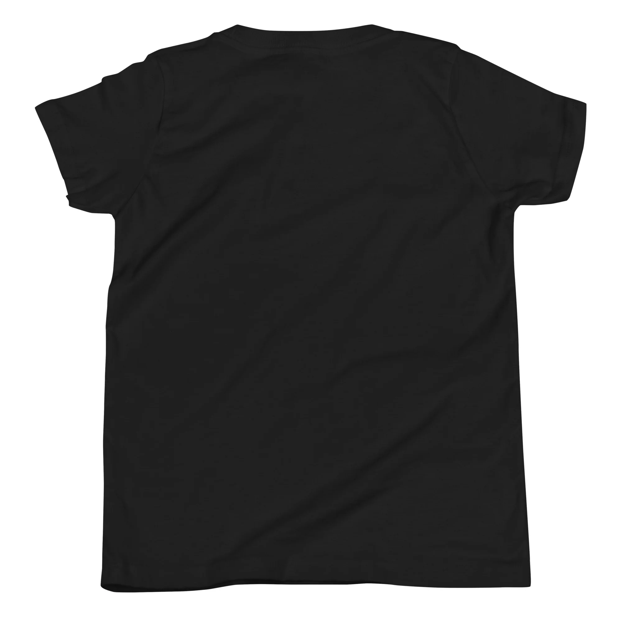 Ahavas Yisroel T-Shirt (Youth) - Image 3