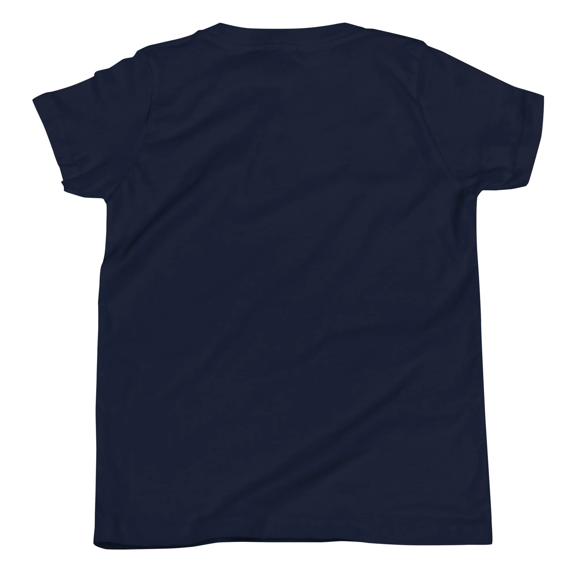 Ahavas Yisroel T-Shirt (Youth) - Image 5