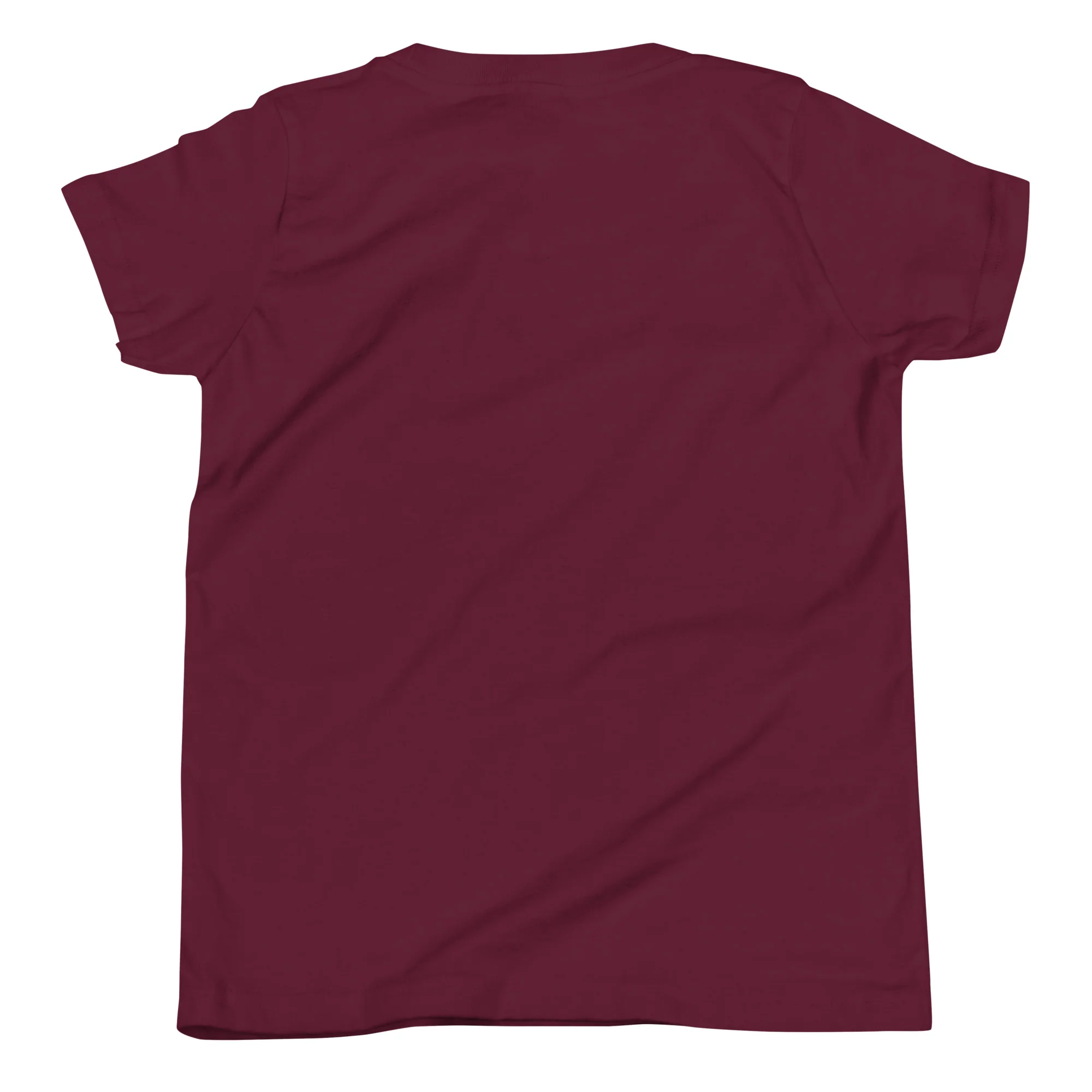 Ahavas Yisroel T-Shirt (Youth) - Image 7