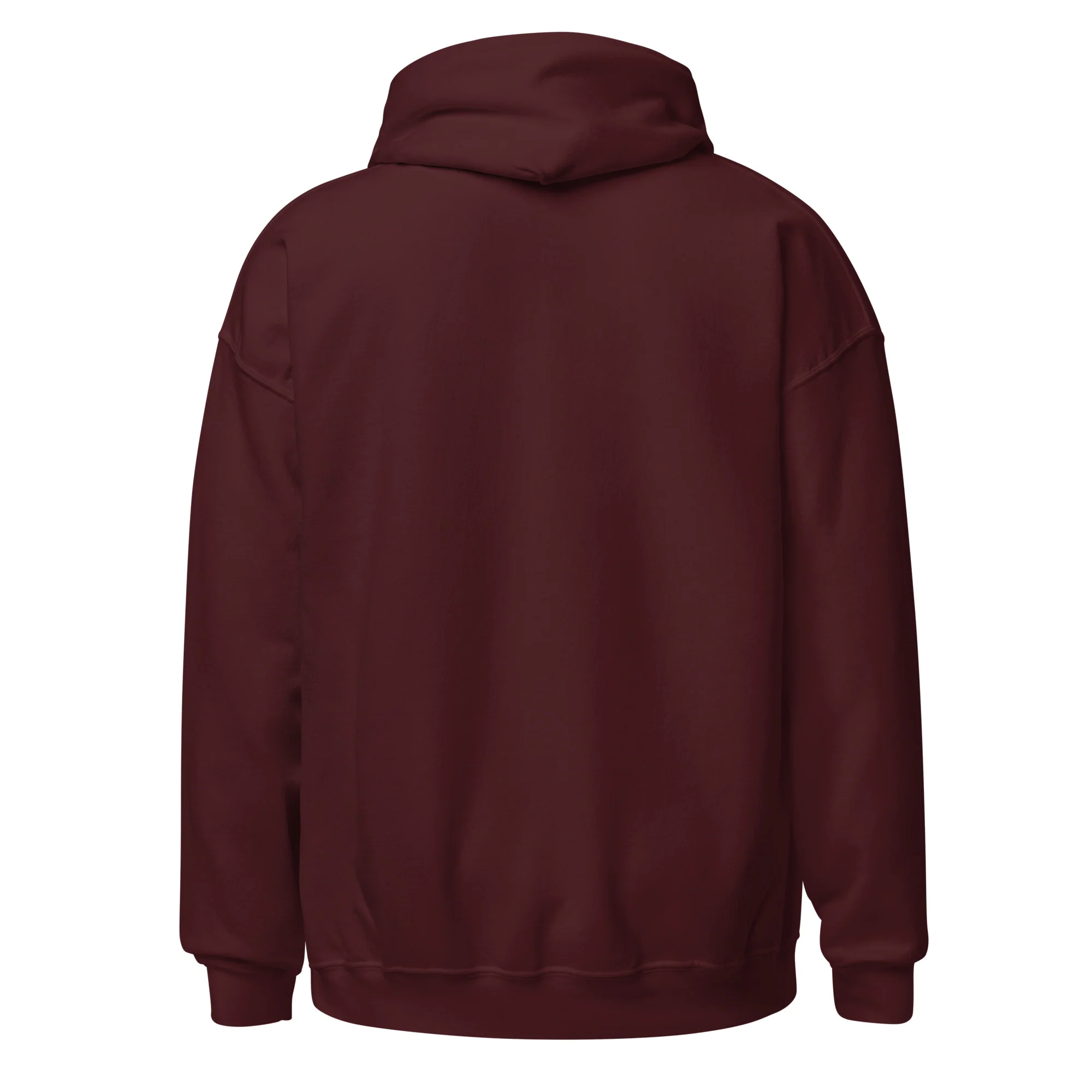 Ameilim BaTorah Hoodie - Image 10