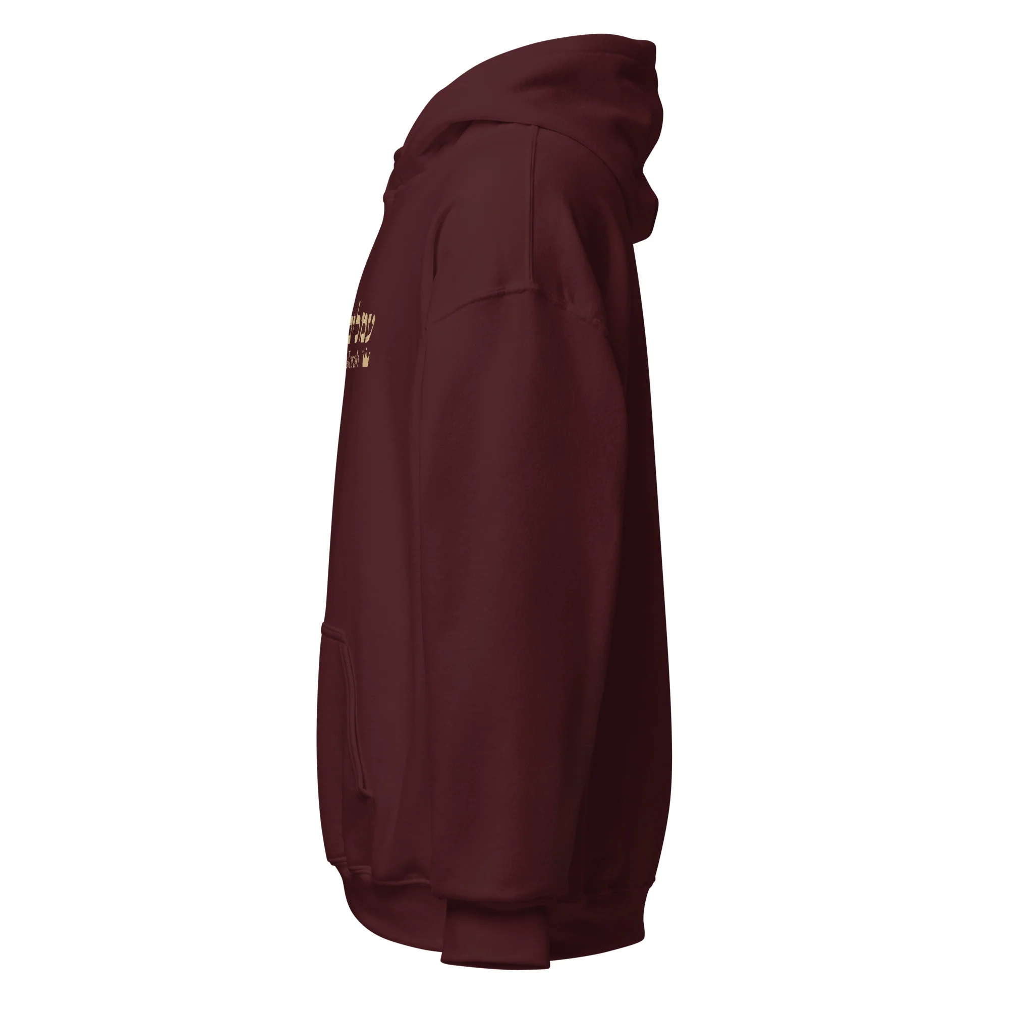 Ameilim BaTorah Hoodie - Image 11