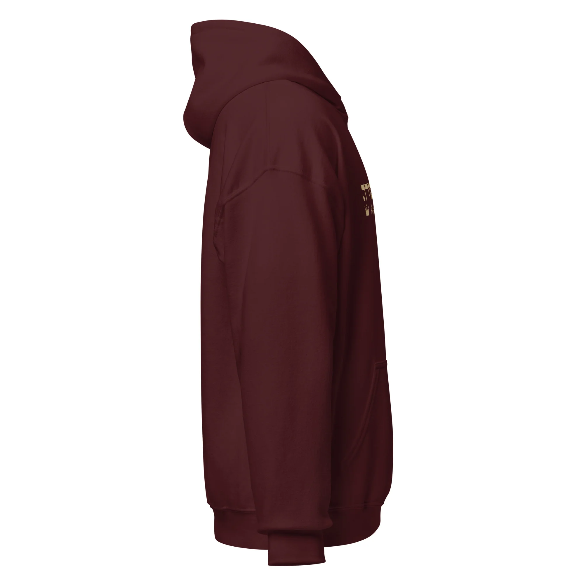 Ameilim BaTorah Hoodie - Image 12