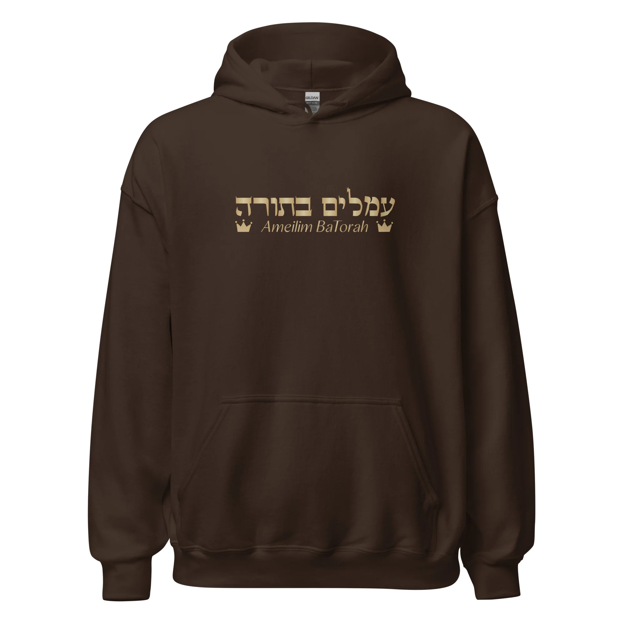 Ameilim BaTorah Hoodie - Image 13