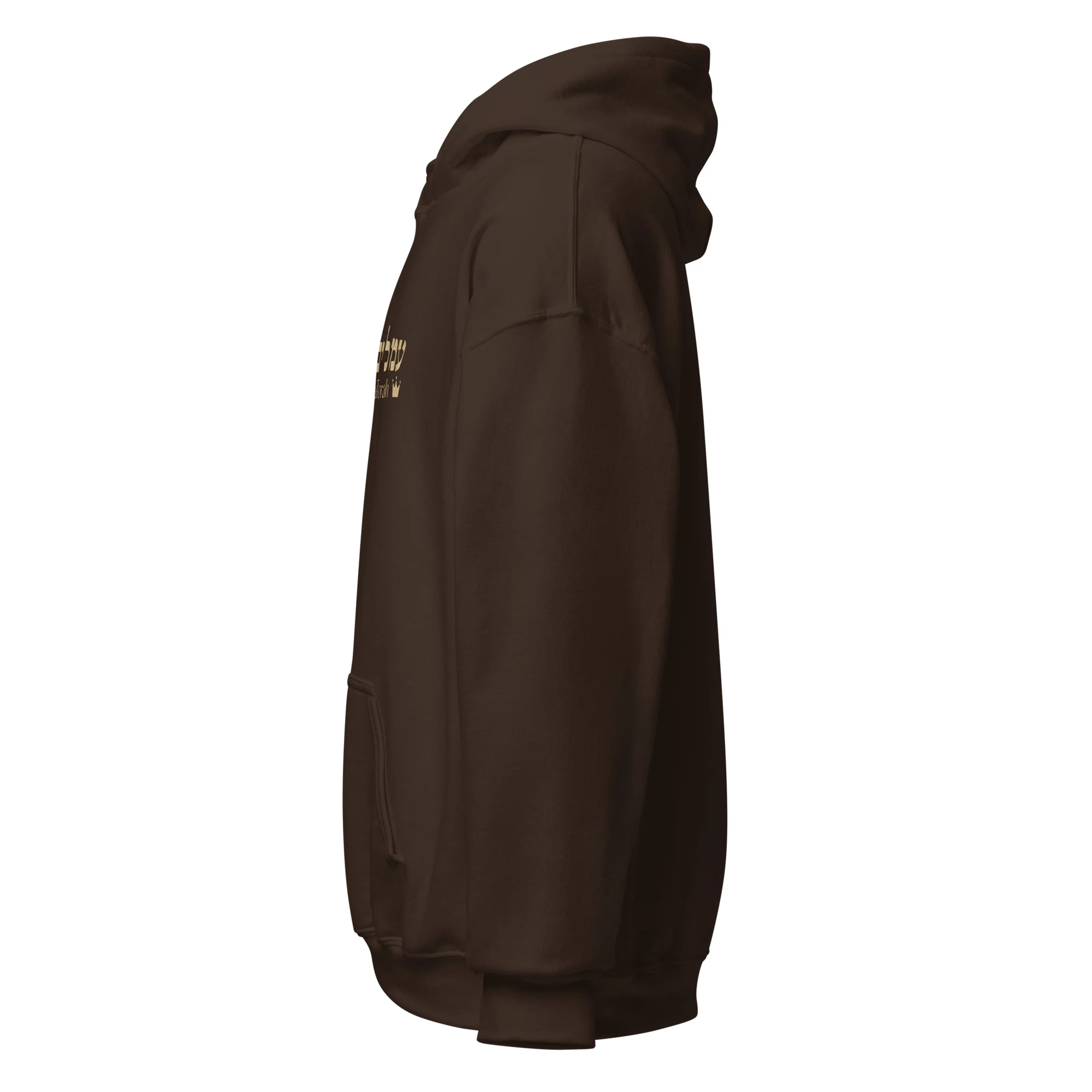 Ameilim BaTorah Hoodie - Image 15