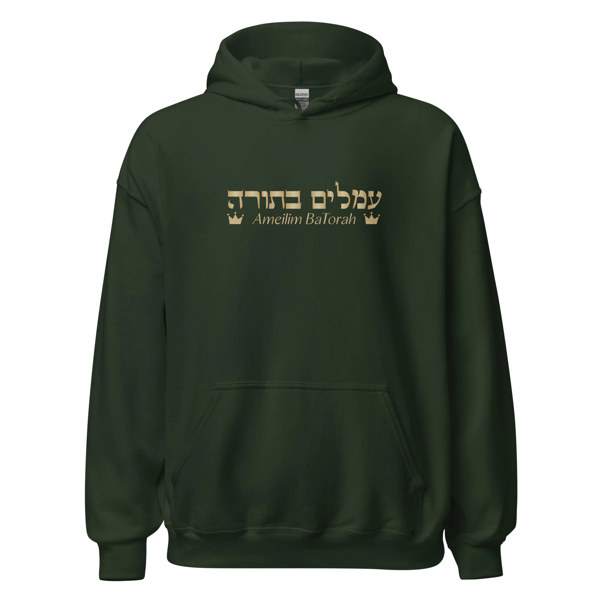 Ameilim BaTorah Hoodie - Image 17