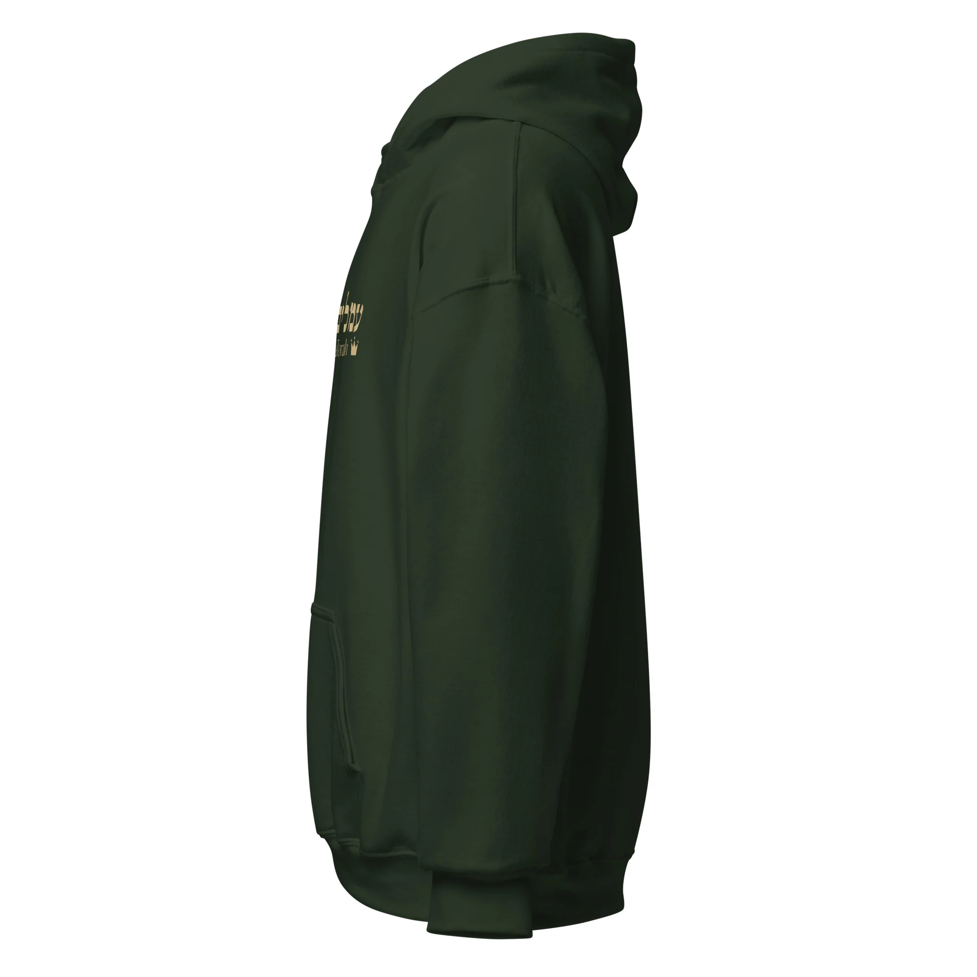 Ameilim BaTorah Hoodie - Image 19