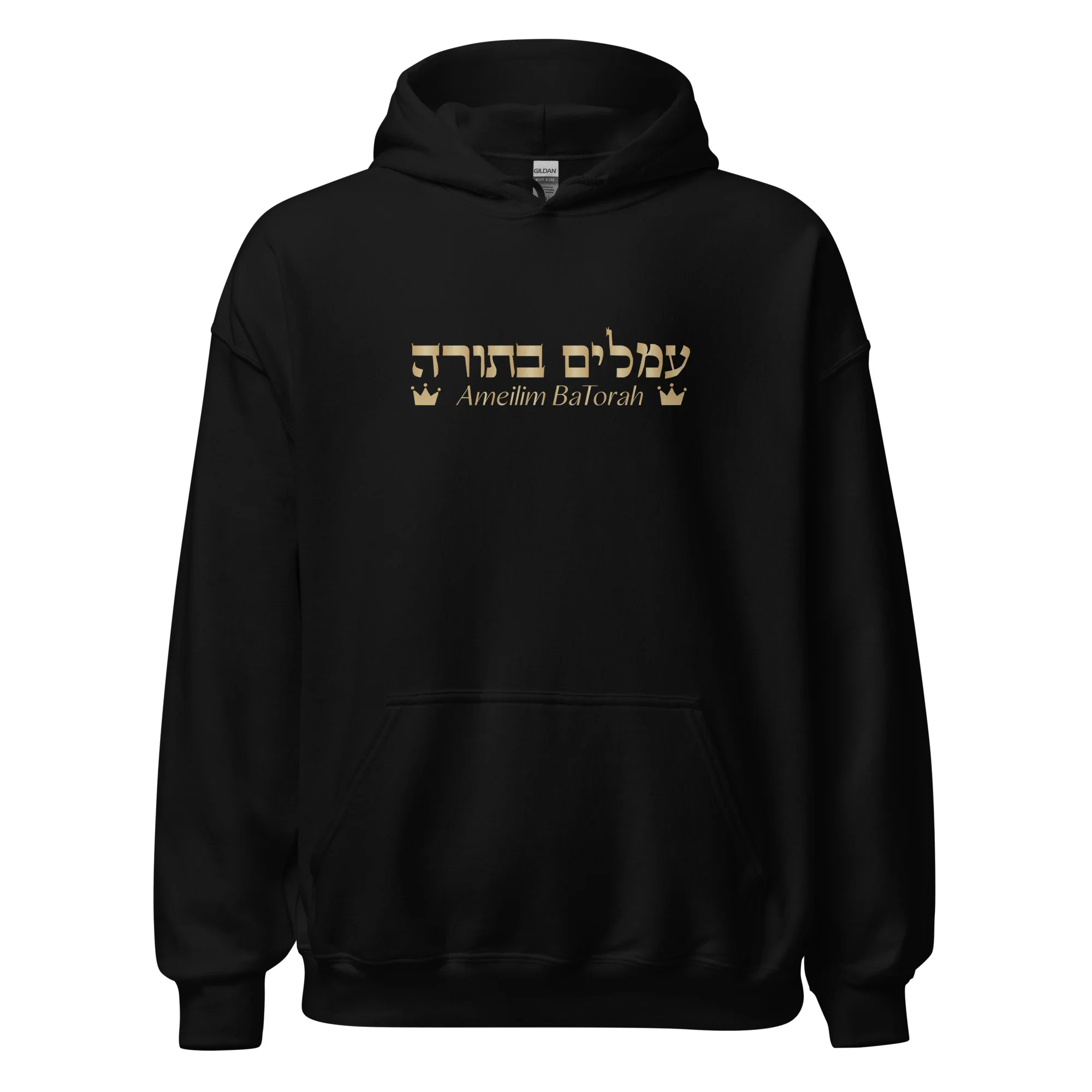 Ameilim BaTorah Hoodie - Image 2