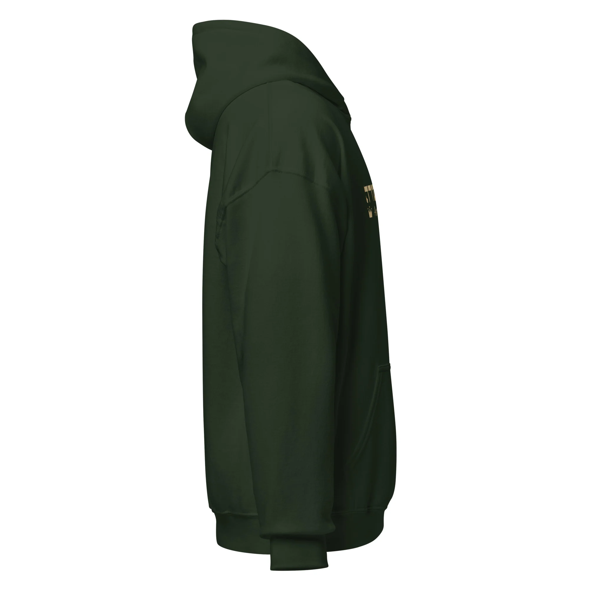 Ameilim BaTorah Hoodie - Image 20