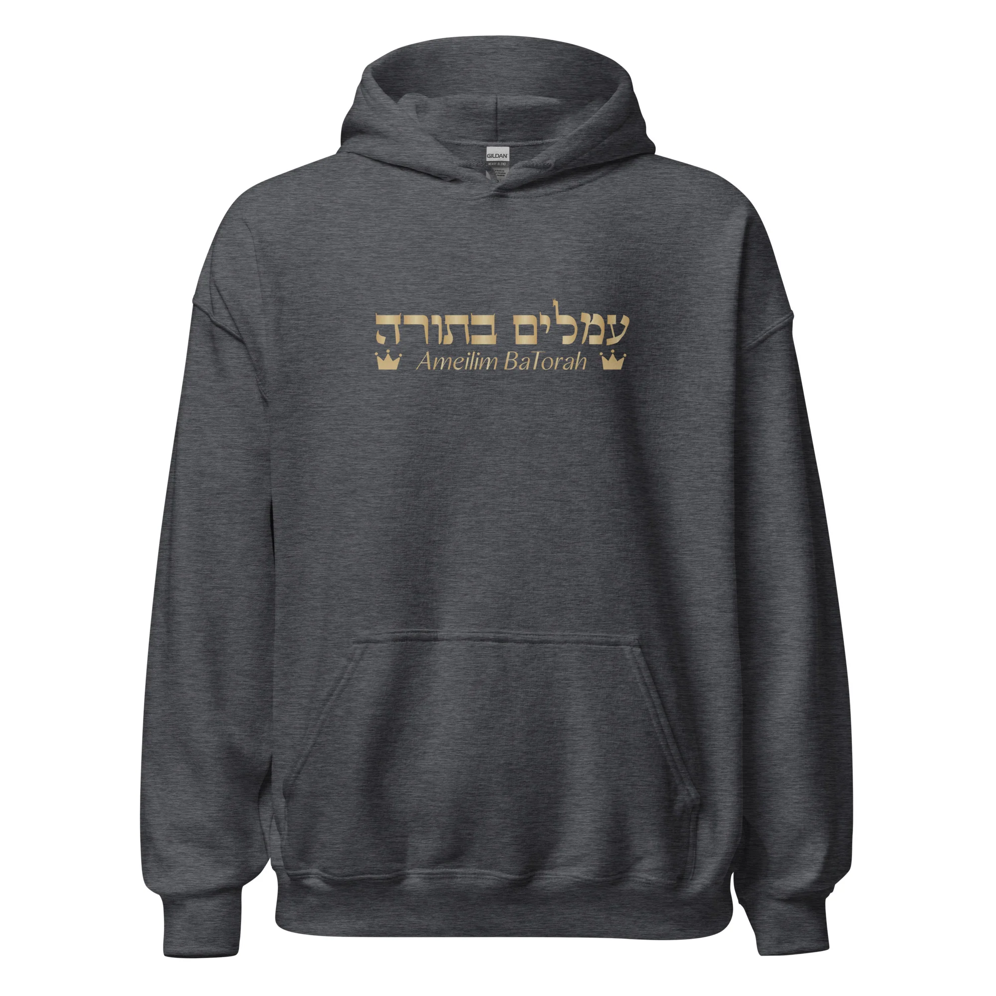 Ameilim BaTorah Hoodie - Image 21