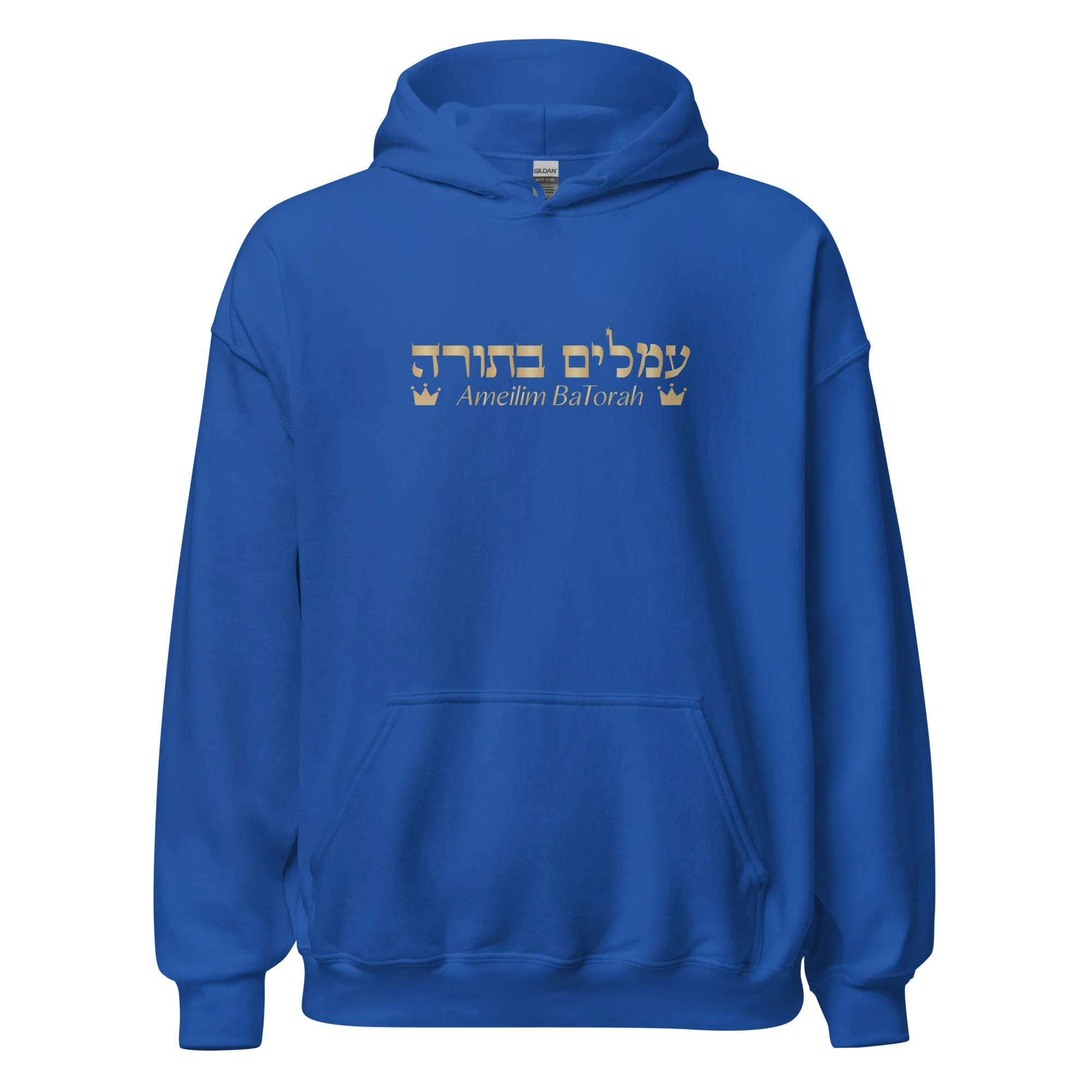 Ameilim BaTorah Hoodie - Image 25