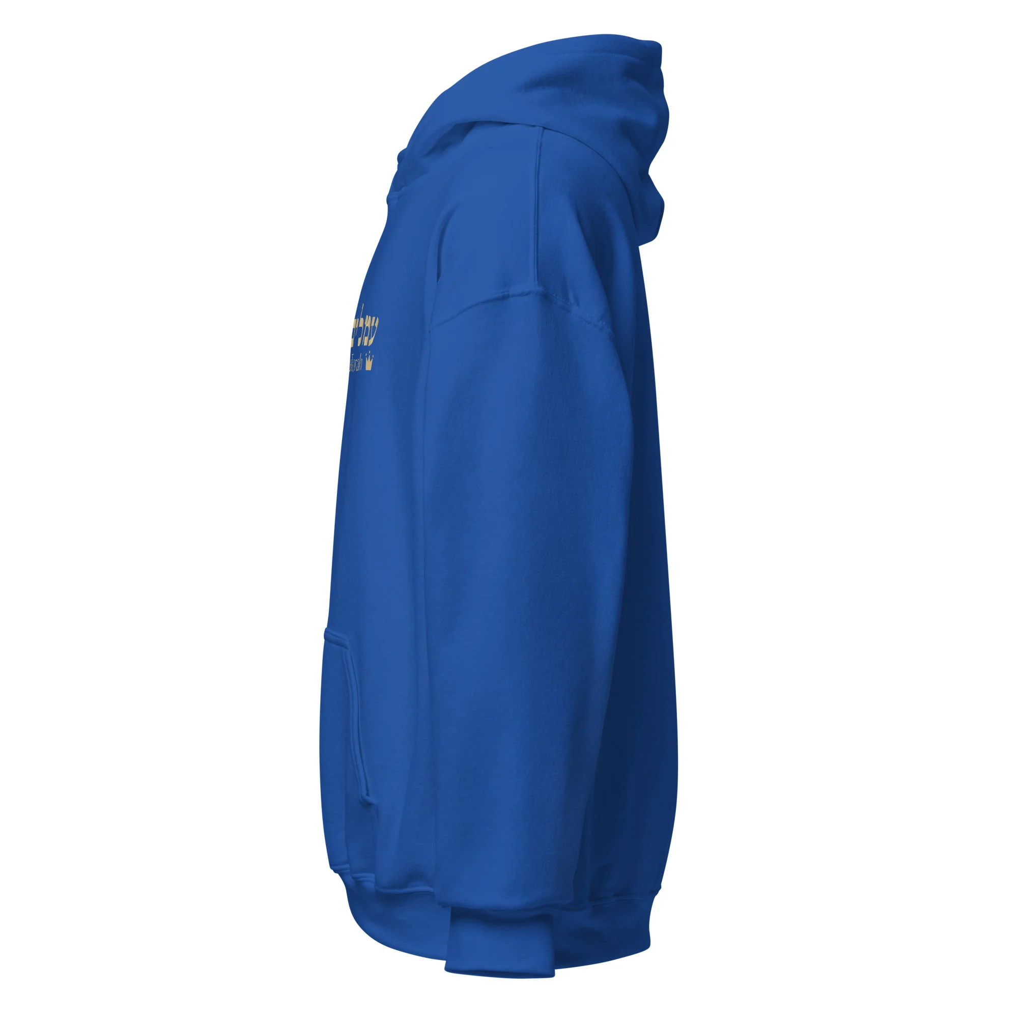 Ameilim BaTorah Hoodie - Image 27