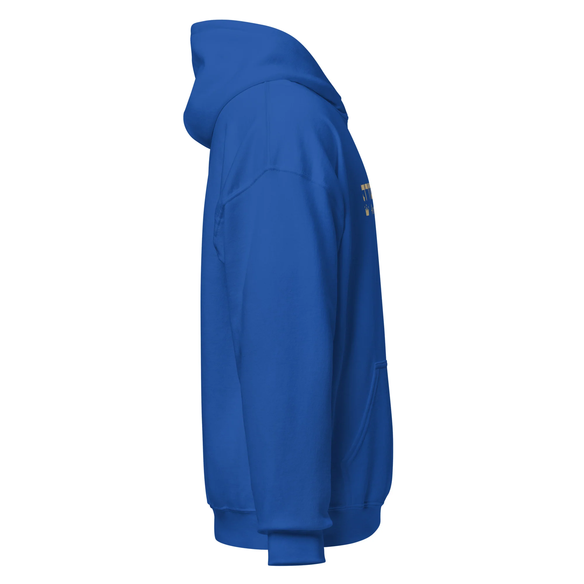 Ameilim BaTorah Hoodie - Image 28