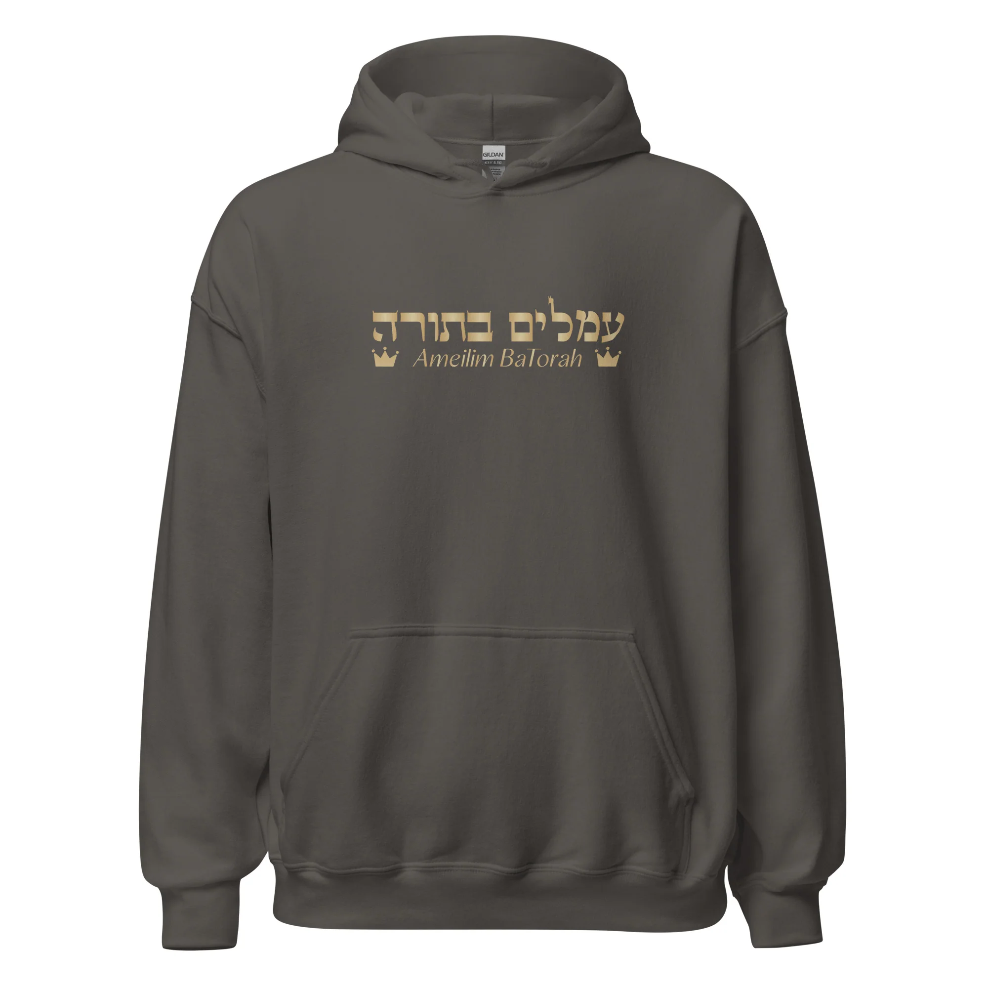 Ameilim BaTorah Hoodie - Image 29