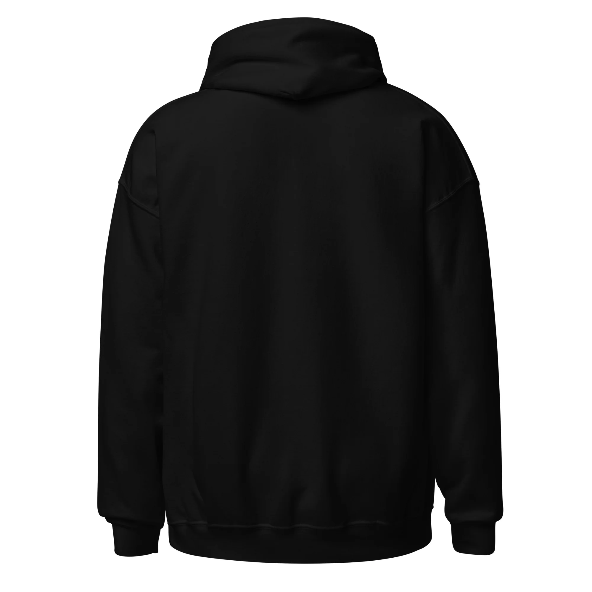Ameilim BaTorah Hoodie - Image 3