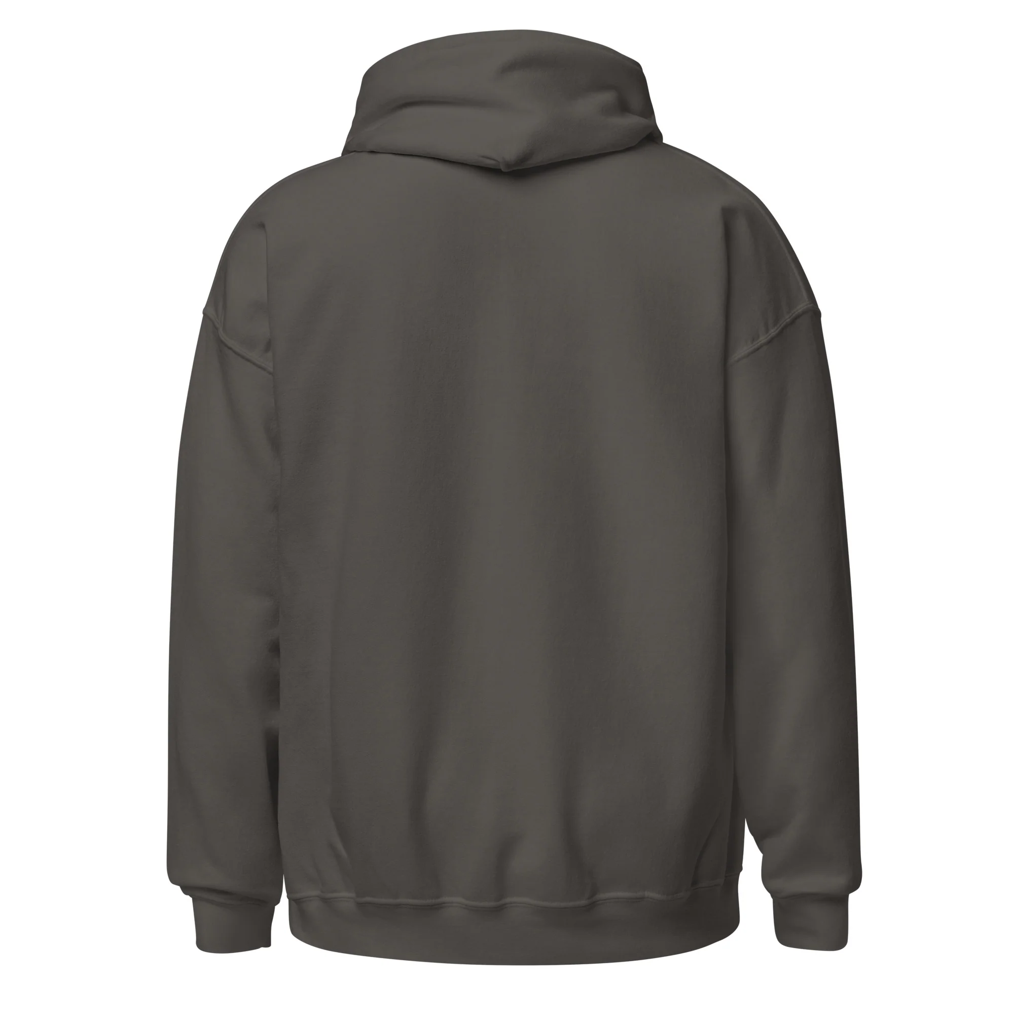 Ameilim BaTorah Hoodie - Image 30