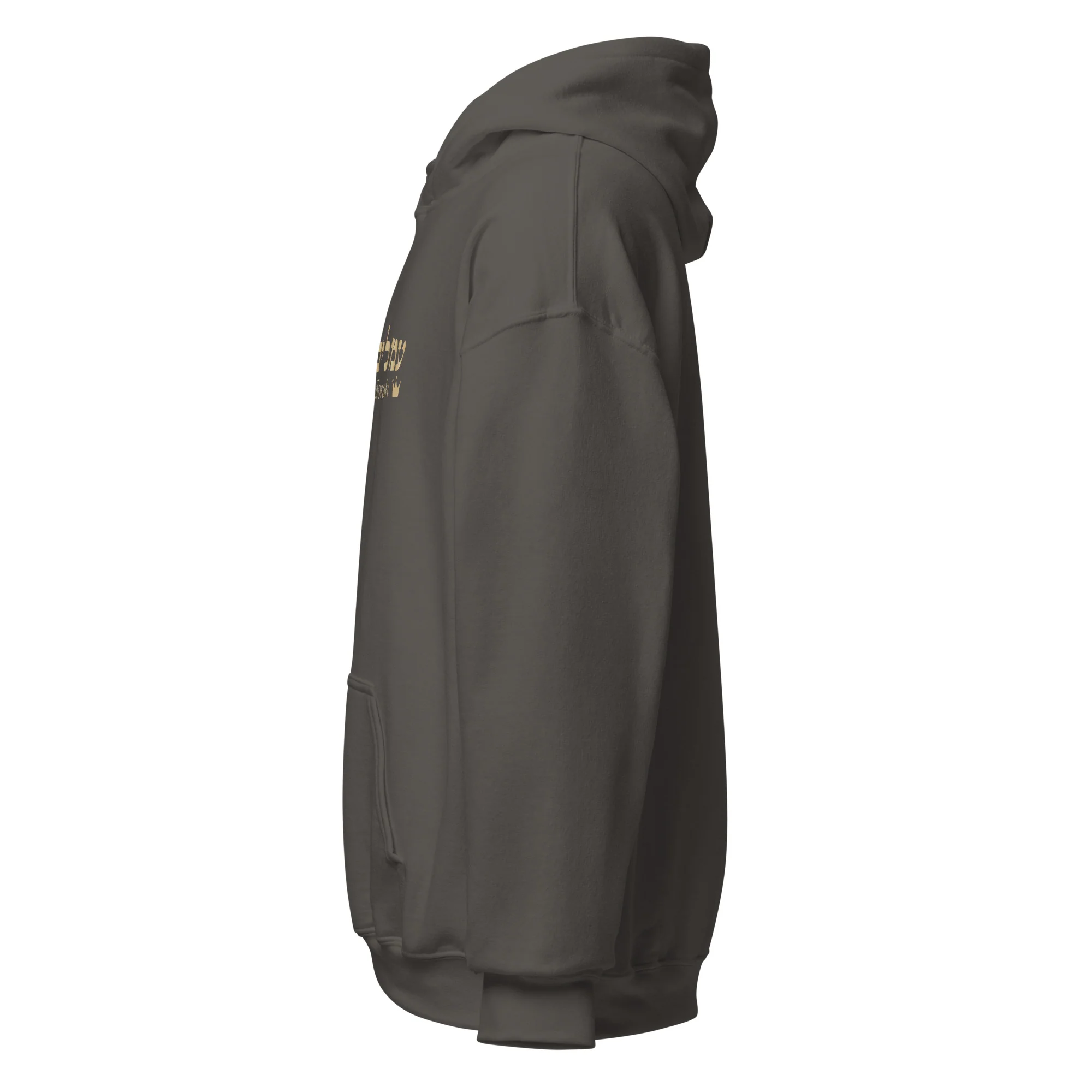Ameilim BaTorah Hoodie - Image 31