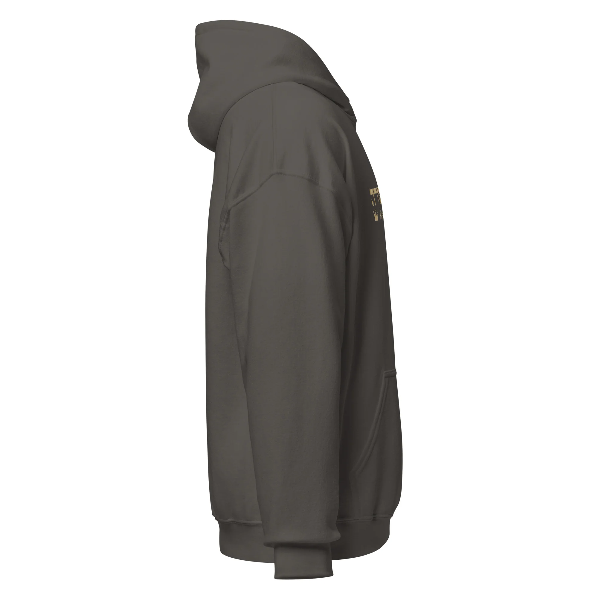Ameilim BaTorah Hoodie - Image 32