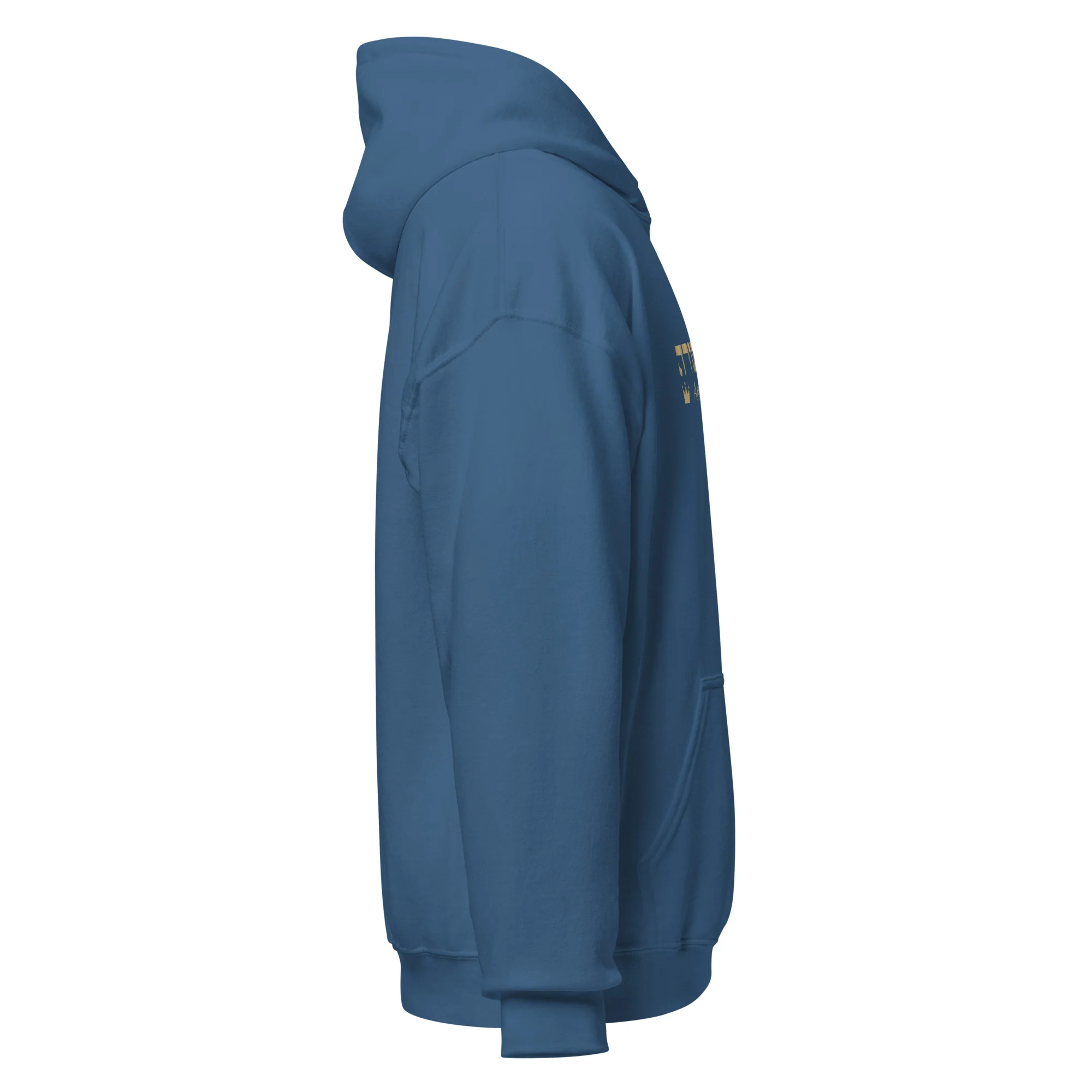 Ameilim BaTorah Hoodie - Image 36
