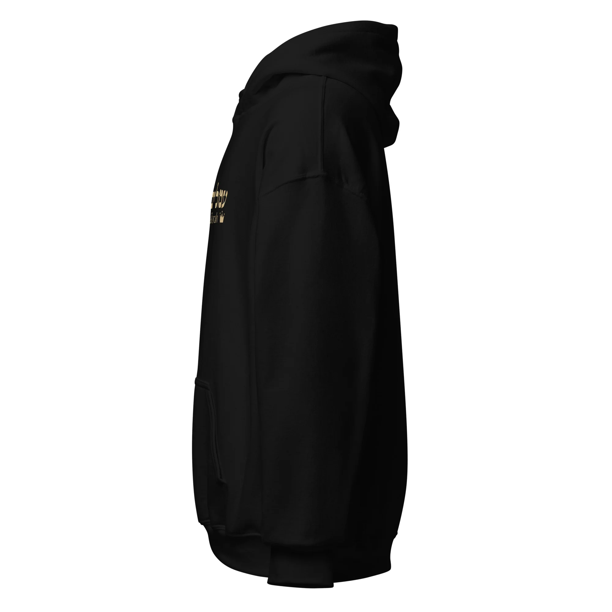 Ameilim BaTorah Hoodie - Image 4