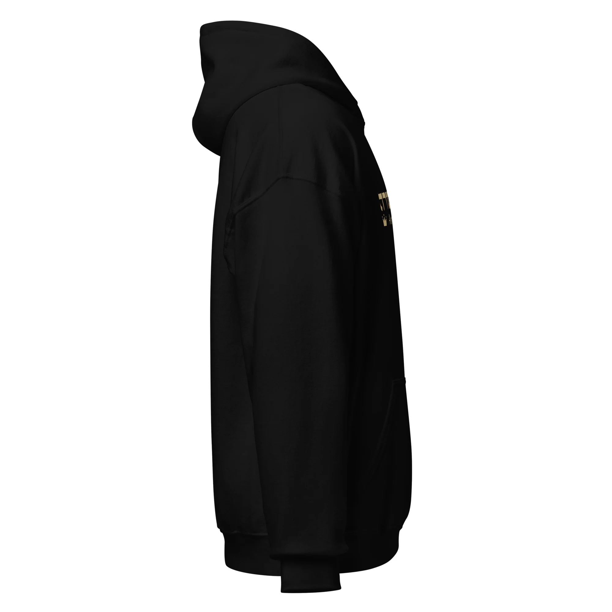 Ameilim BaTorah Hoodie - Image 5