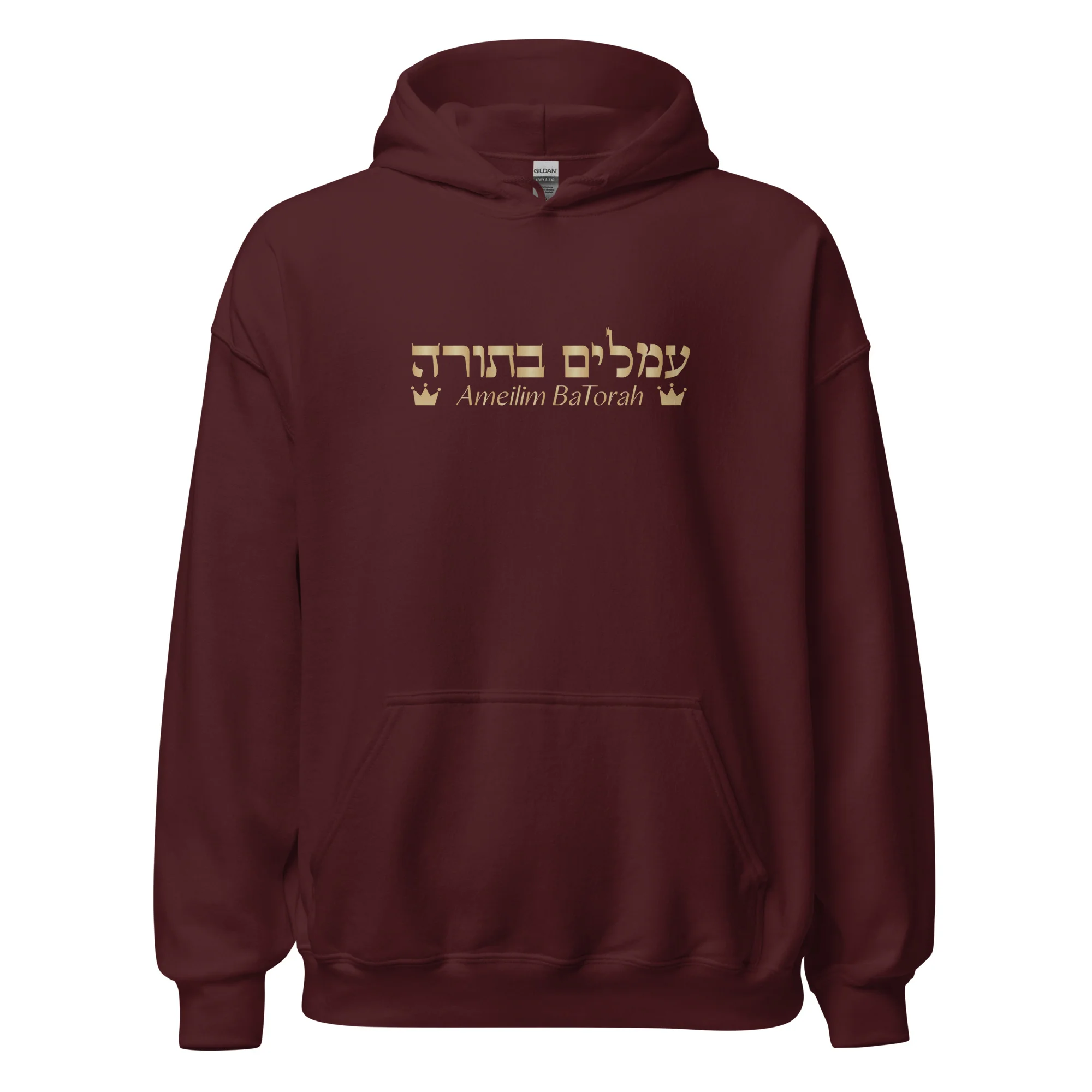 Ameilim BaTorah Hoodie - Image 9