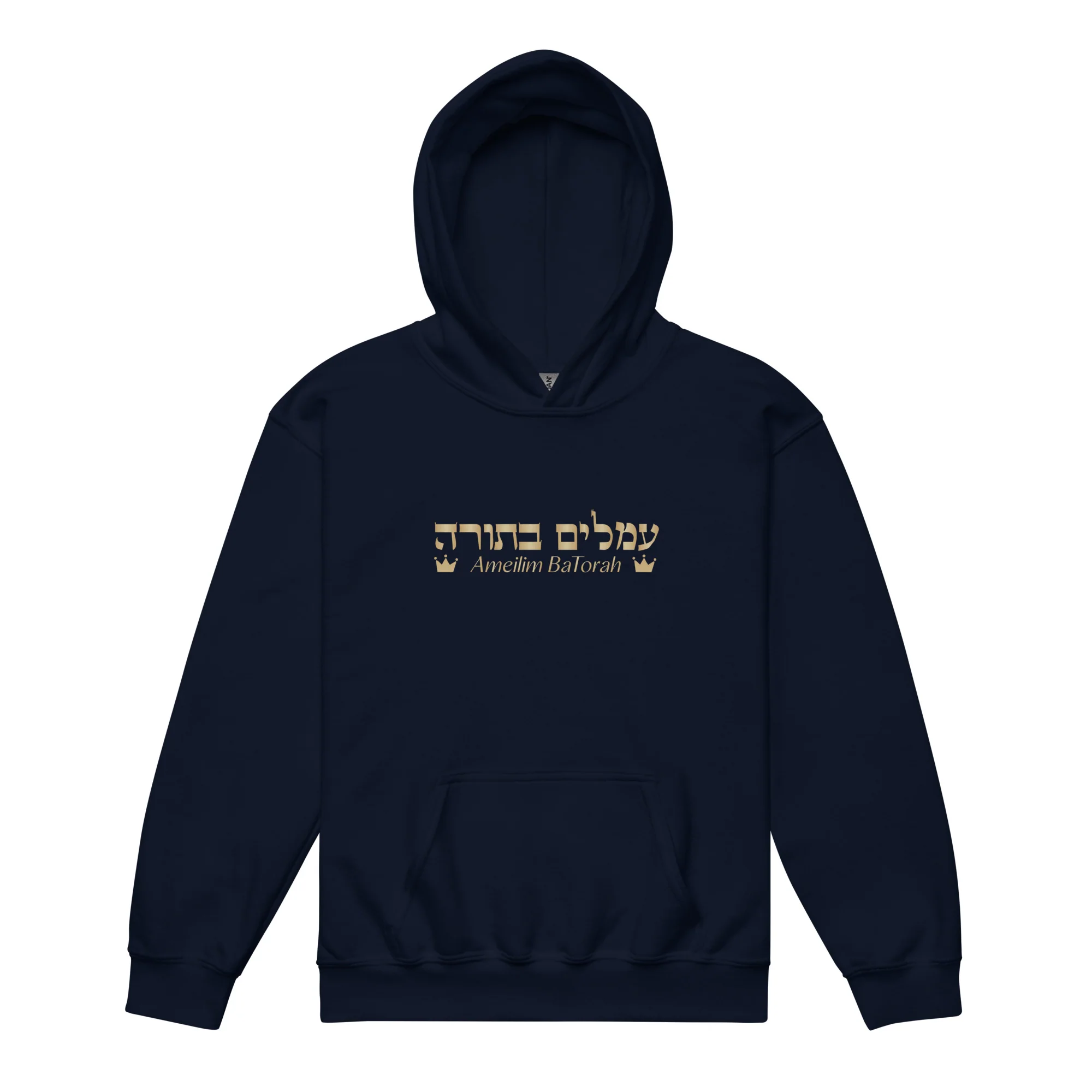 Ameilim BaTorah Youth Hoodie