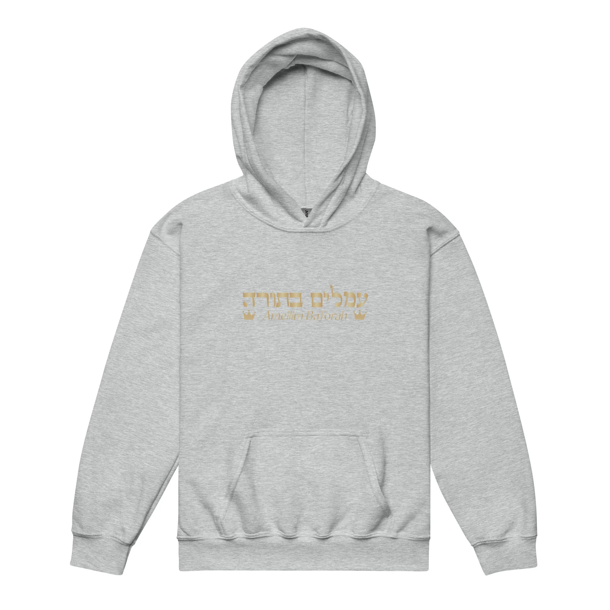 Ameilim BaTorah Youth Hoodie - Image 13