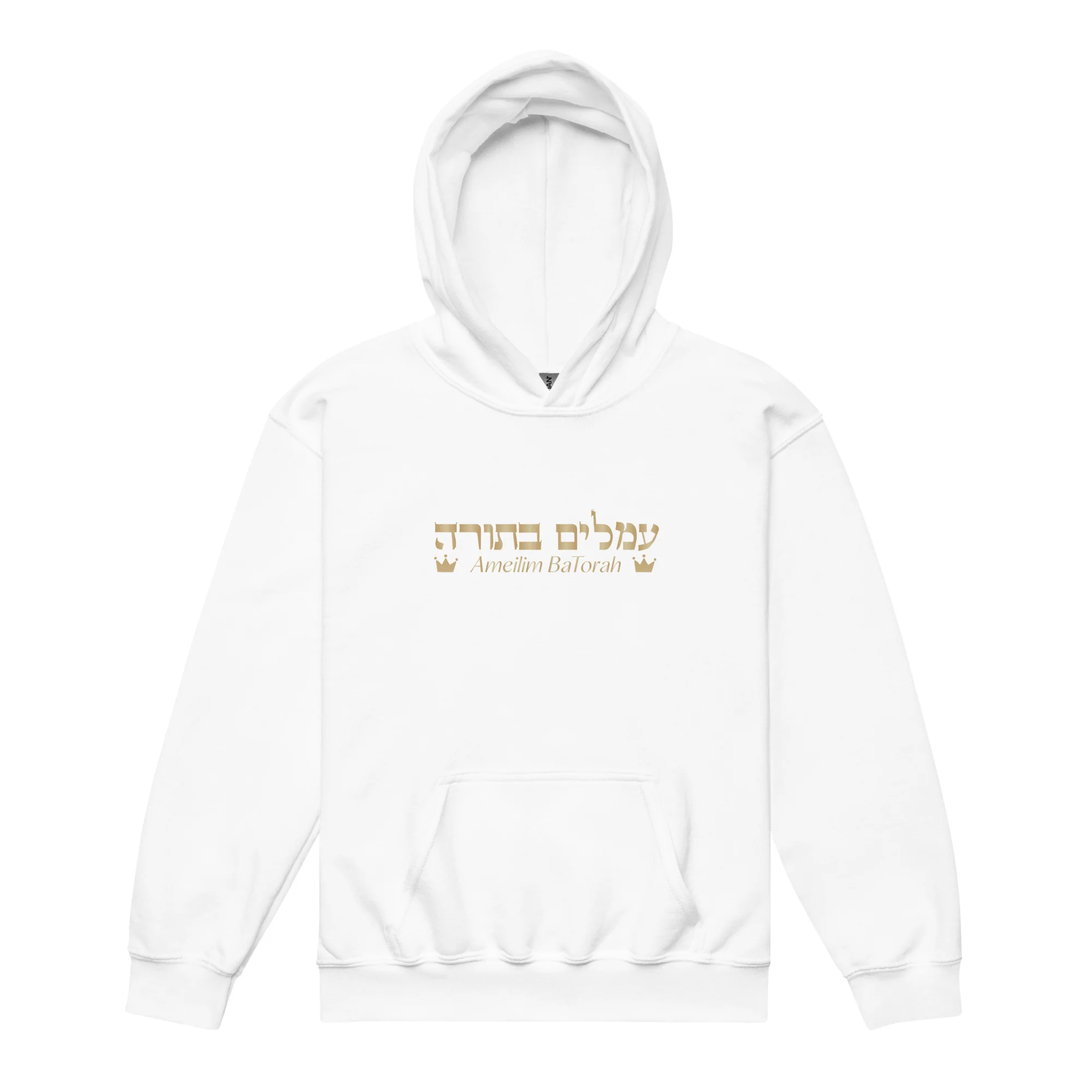 Ameilim BaTorah Youth Hoodie - Image 15