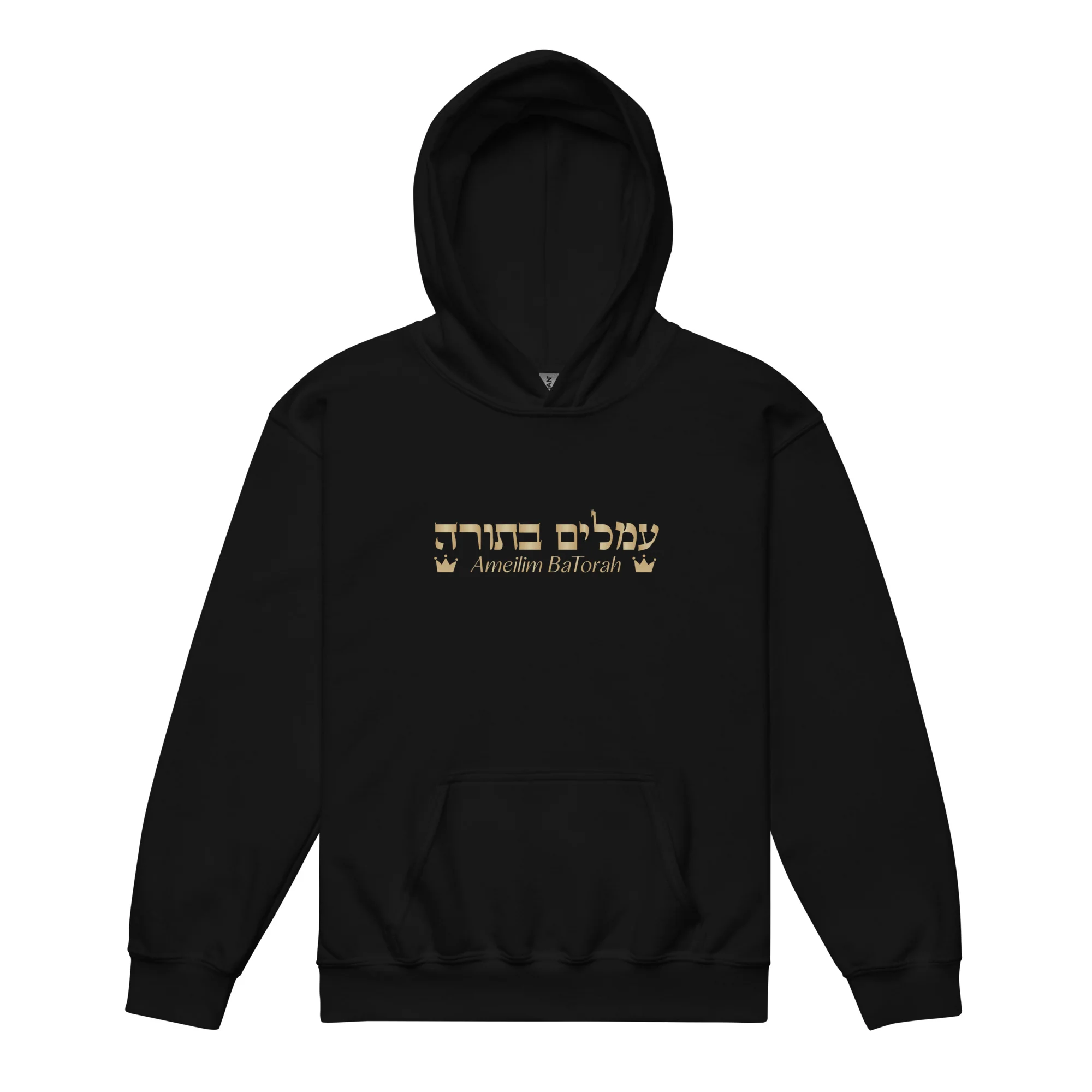 Ameilim BaTorah Youth Hoodie - Image 2