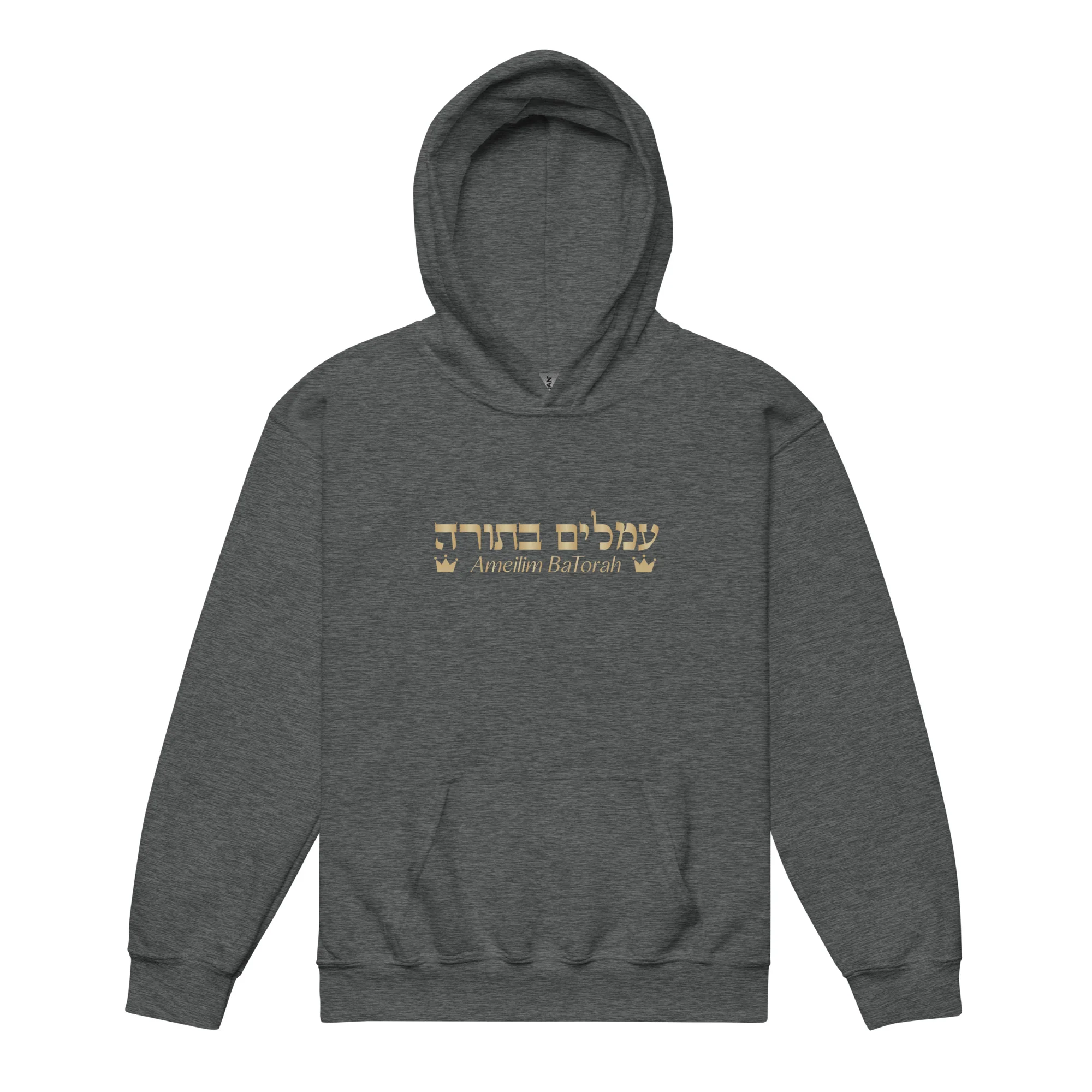 Ameilim BaTorah Youth Hoodie - Image 5