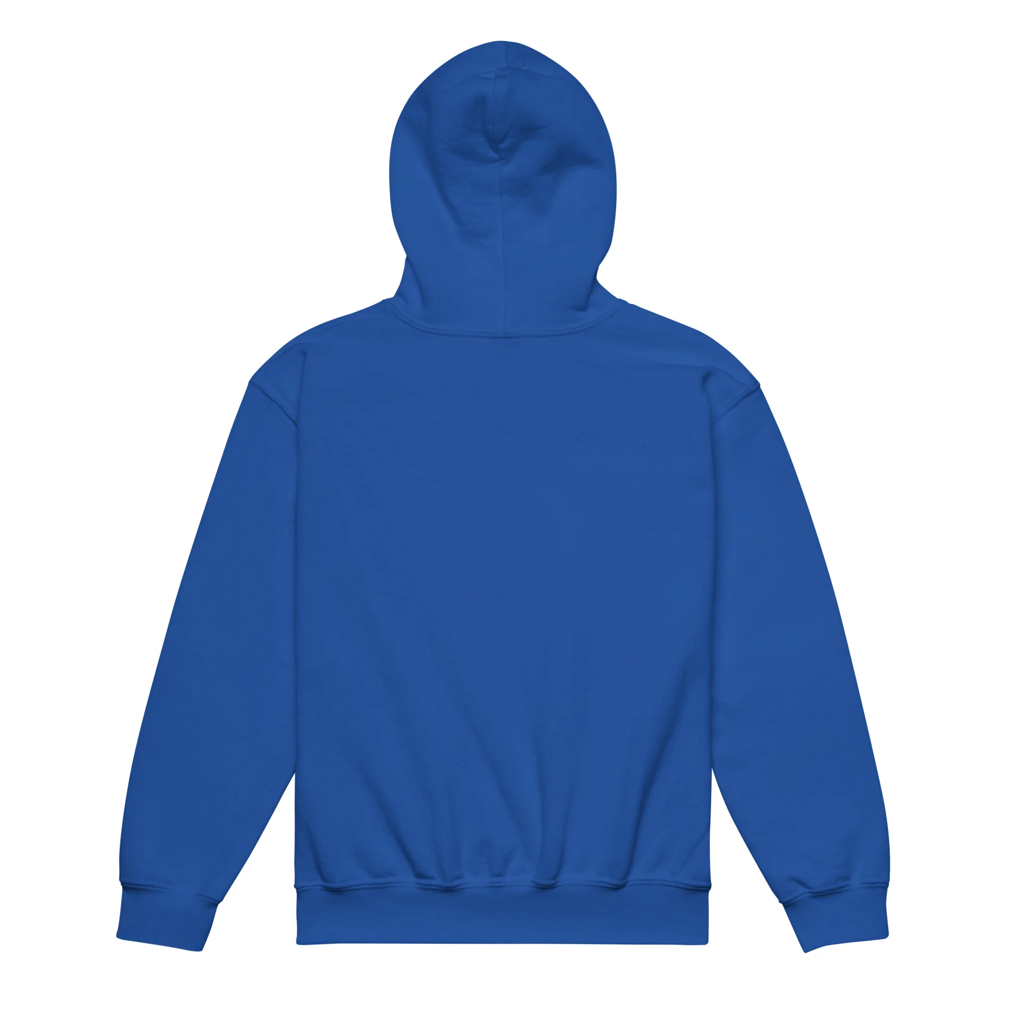 Ameilim BaTorah Youth Hoodie - Image 8