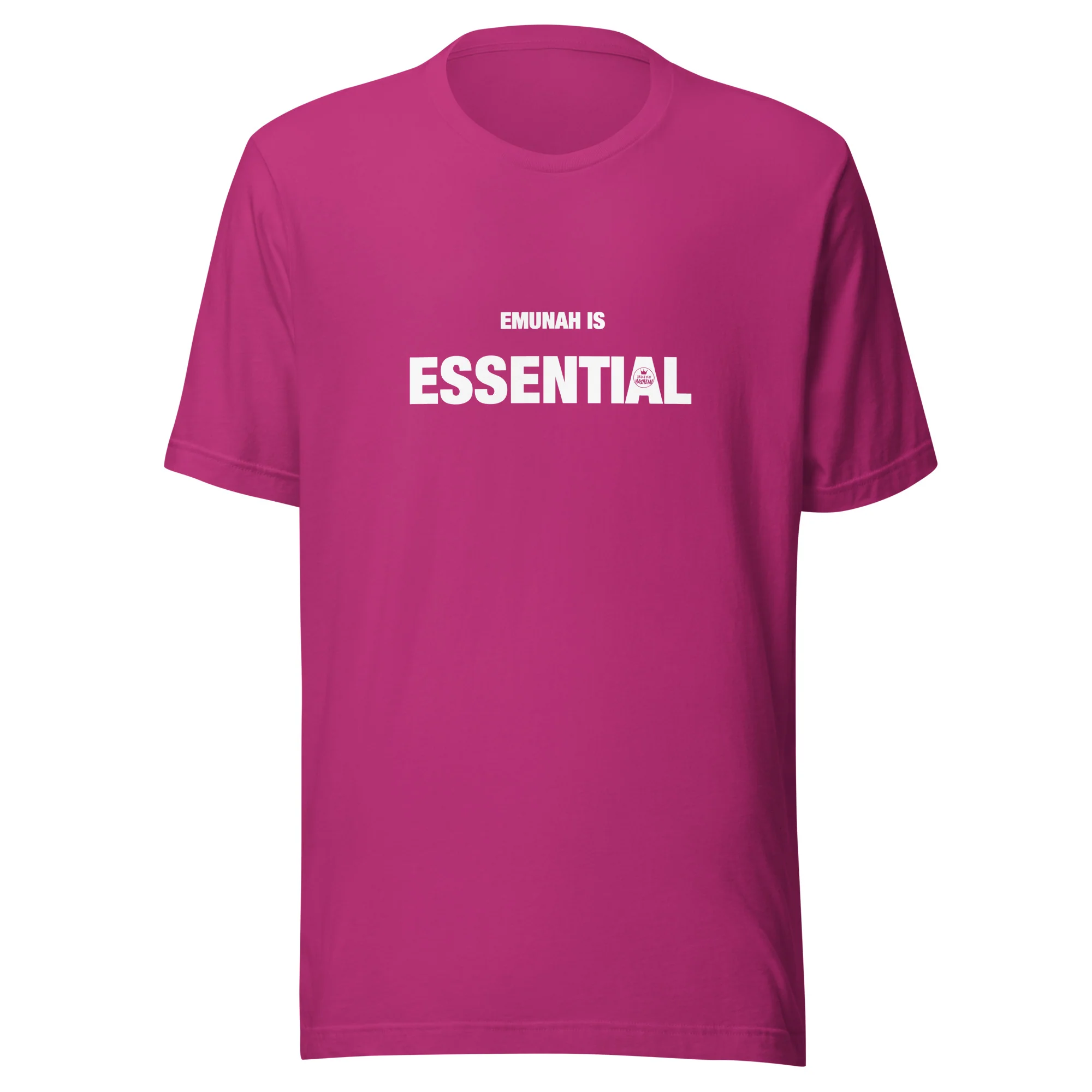 Emunah is Essential T-Shirt / Adult - Image 13
