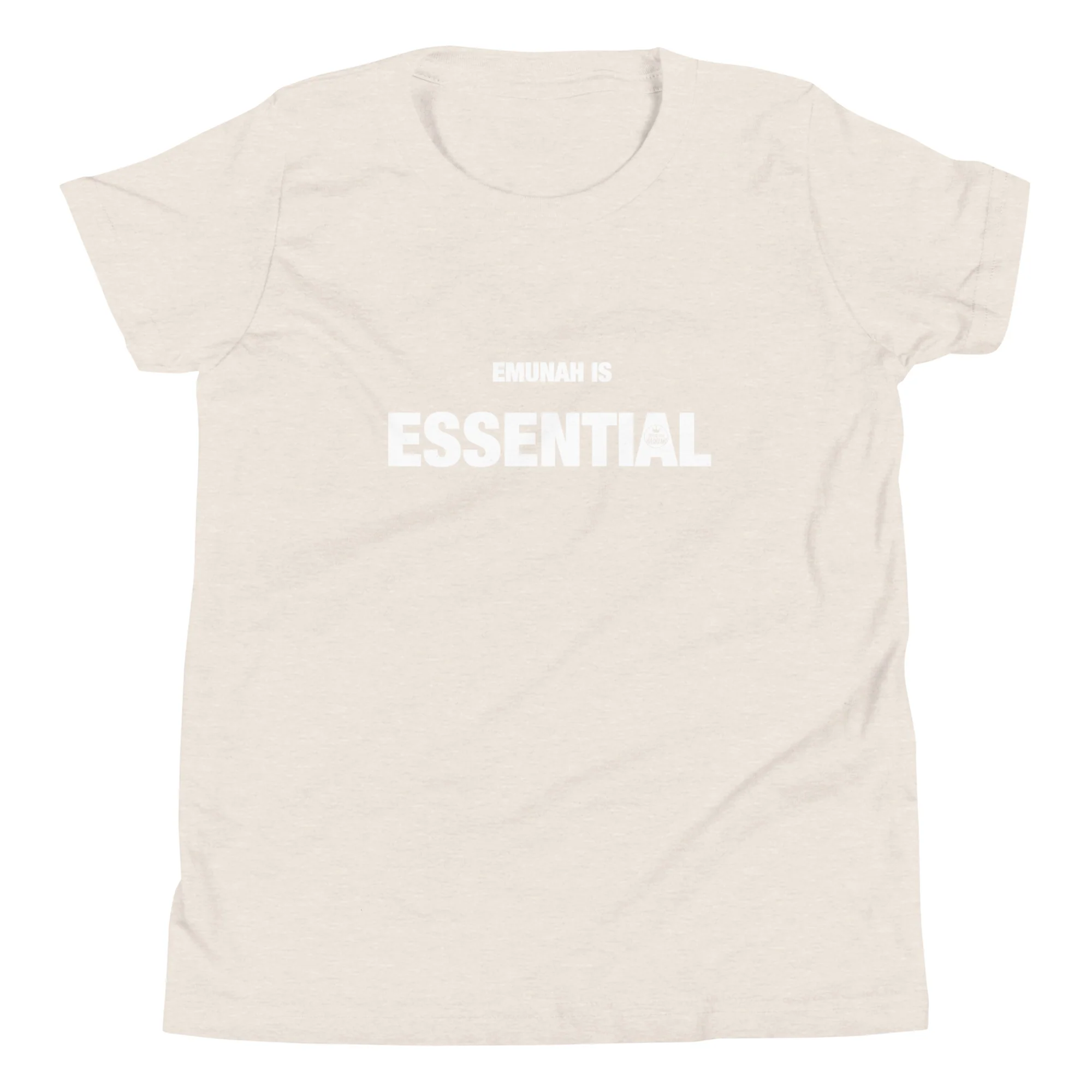 Emunah is Essential T-Shirt / Youth - Image 15