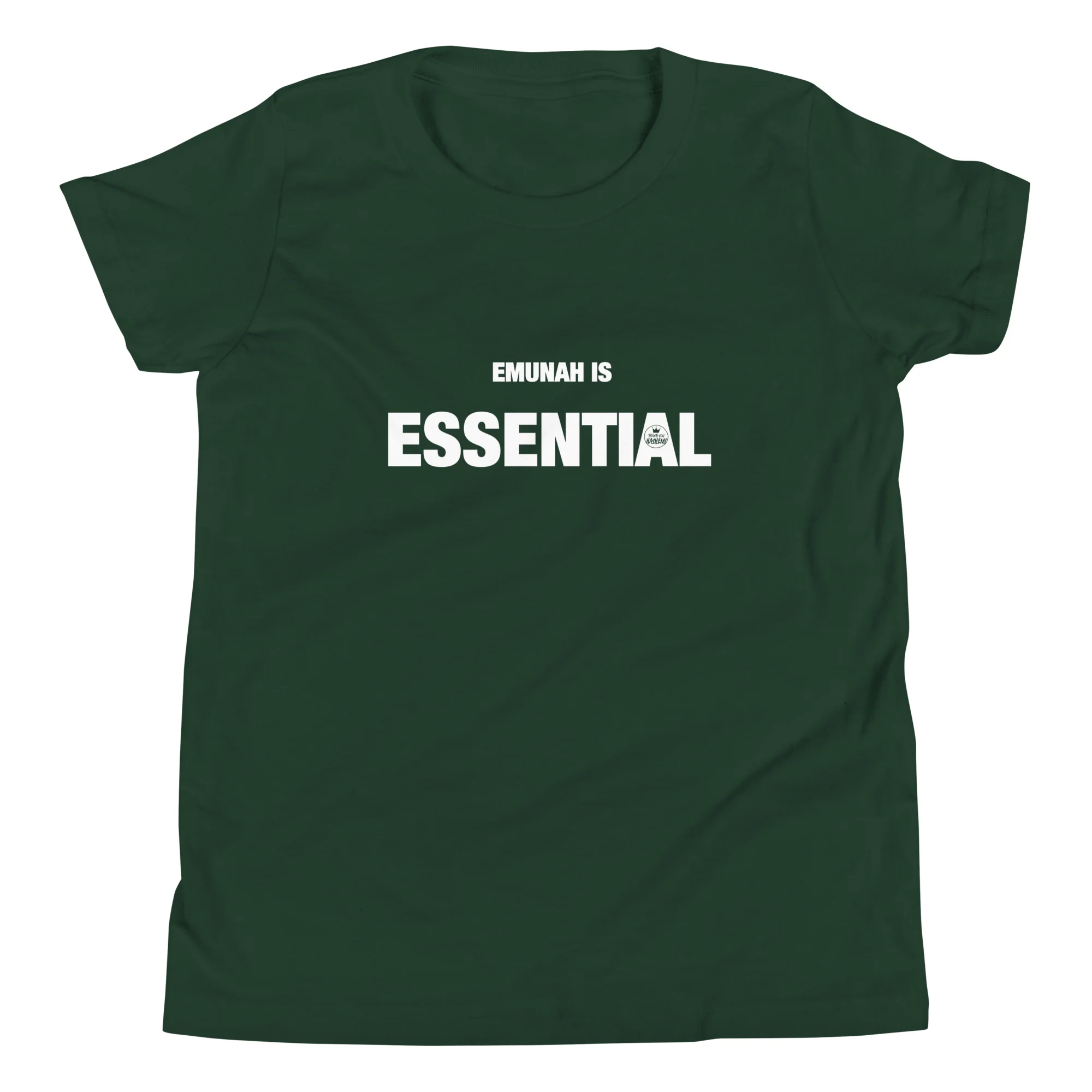 Emunah is Essential T-Shirt / Youth - Image 5