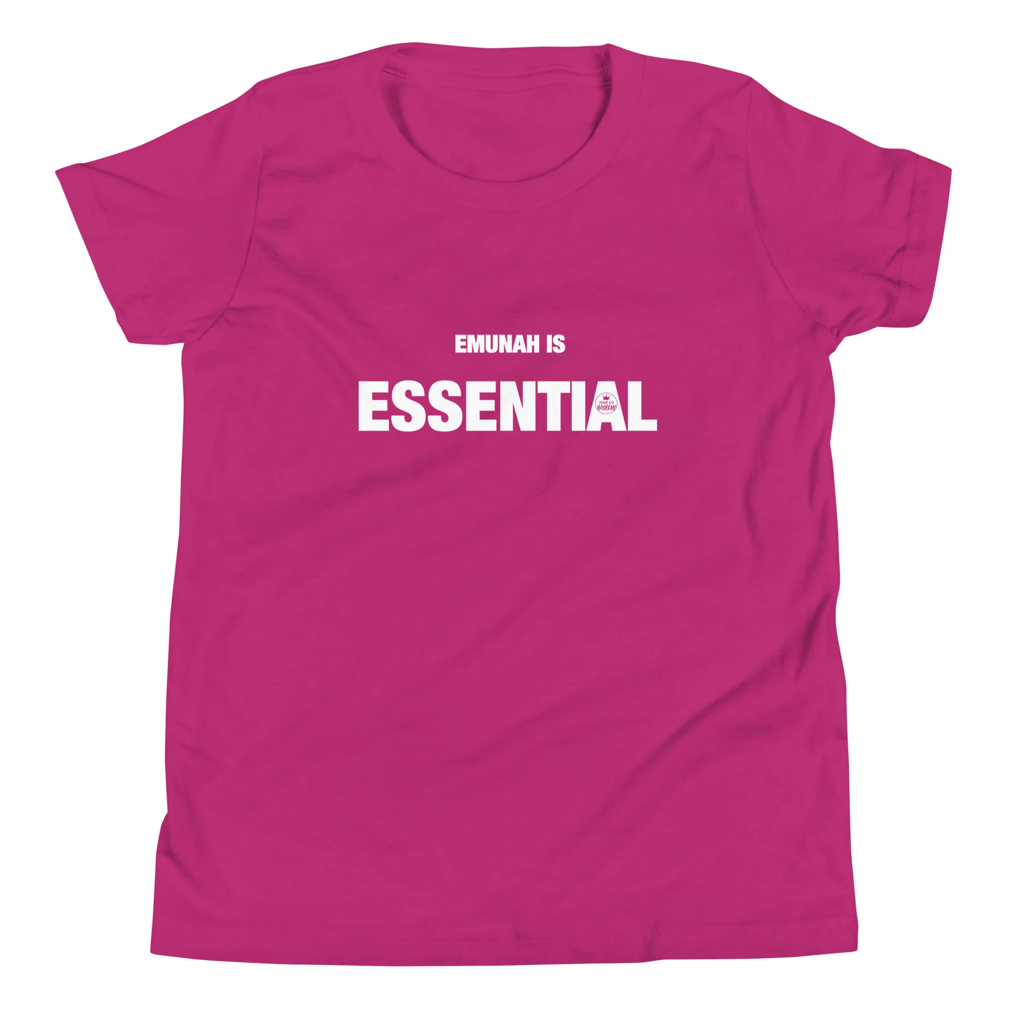 Emunah is Essential T-Shirt / Youth - Image 9